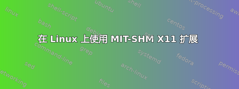 在 Linux 上使用 MIT-SHM X11 扩展