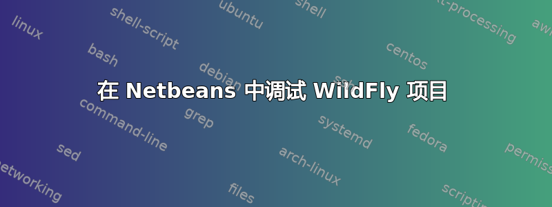 在 Netbeans 中调试 WildFly 项目