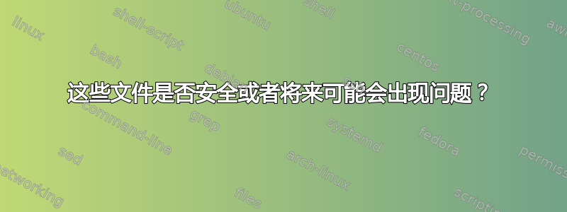 这些文件是否安全或者将来可能会出现问题？