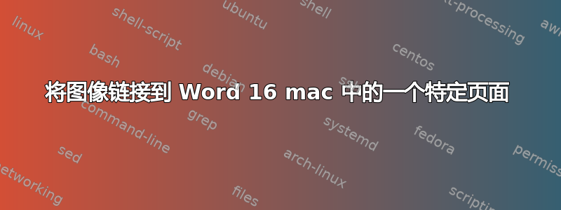 将图像链接到 Word 16 mac 中的一个特定页面