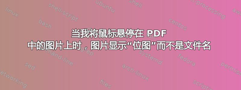 当我将鼠标悬停在 PDF 中的图片上时，图片显示“位图”而不是文件名