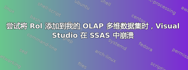 尝试将 Rol 添加到我的 OLAP 多维数据集时，Visual Studio 在 SSAS 中崩溃