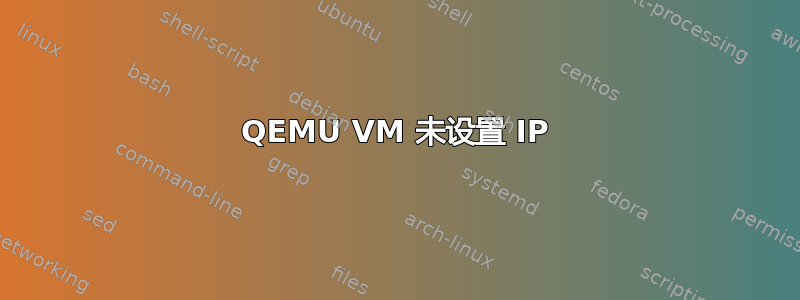 QEMU VM 未设置 IP