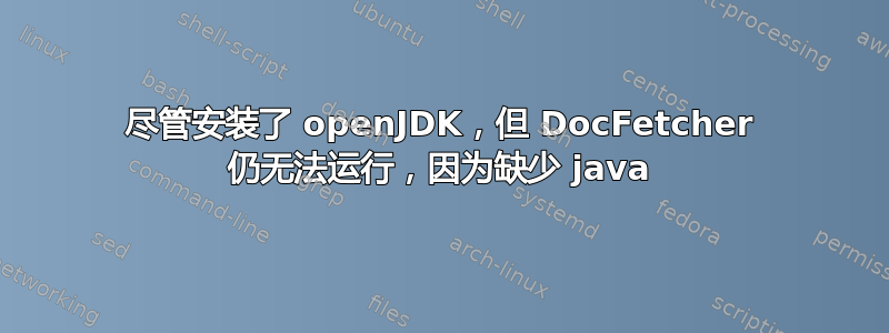 尽管安装了 openJDK，但 DocFetcher 仍无法运行，因为缺少 java
