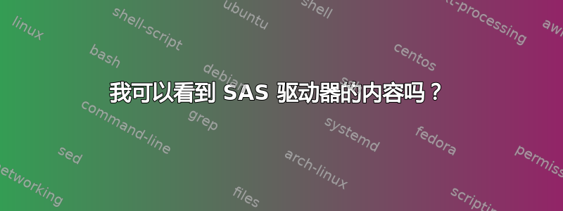 我可以看到 SAS 驱动器的内容吗？