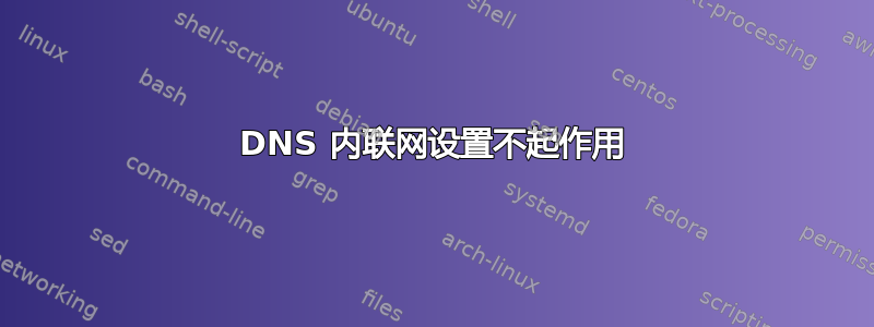 DNS 内联网设置不起作用