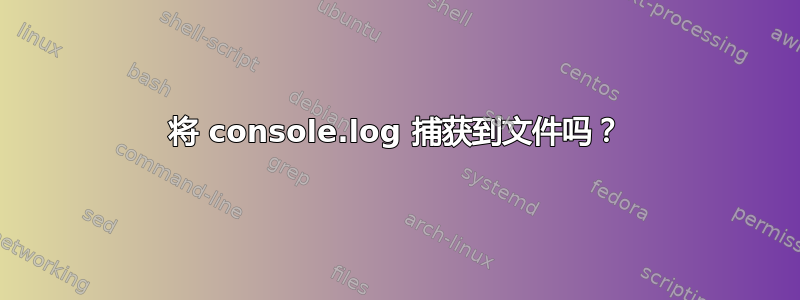 将 console.log 捕获到文件吗？