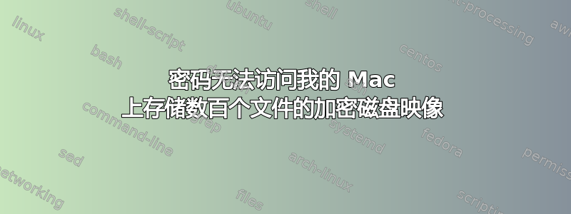 密码无法访问我的 Mac 上存储数百个文件的加密磁盘映像