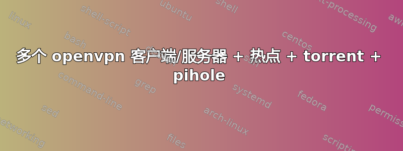 多个 openvpn 客户端/服务器 + 热点 + torrent + pihole