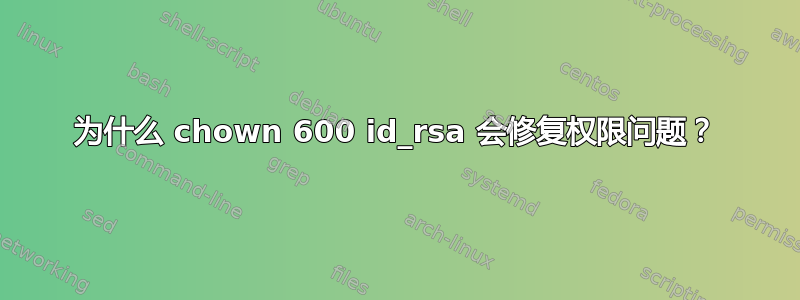 为什么 chown 600 id_rsa 会修复权限问题？