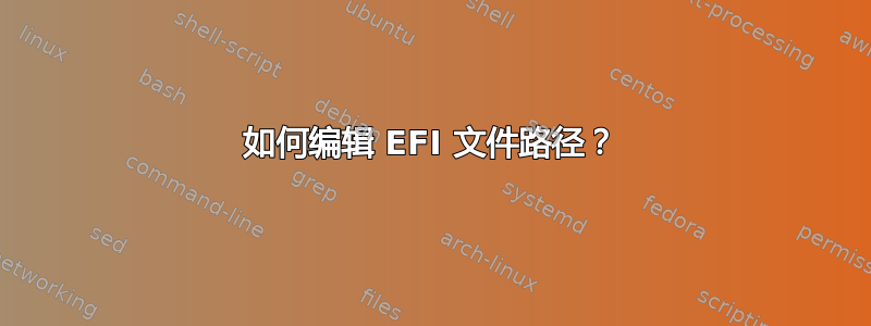 如何编辑 EFI 文件路径？