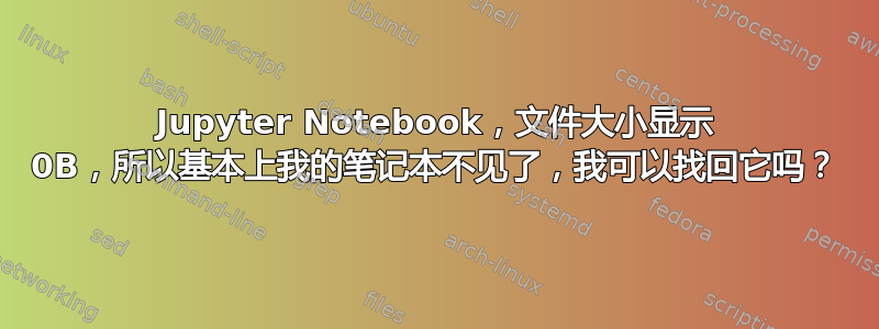 Jupyter Notebook，文件大小显示 0B，所以基本上我的笔记本不见了，我可以找回它吗？