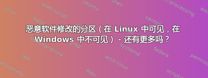 恶意软件修改的分区（在 Linux 中可见，在 Windows 中不可见） - 还有更多吗？