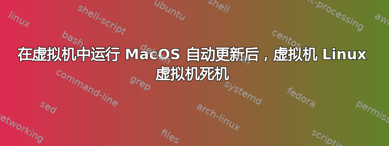 在虚拟机中运行 MacOS 自动更新后，虚拟机 Linux 虚拟机死机