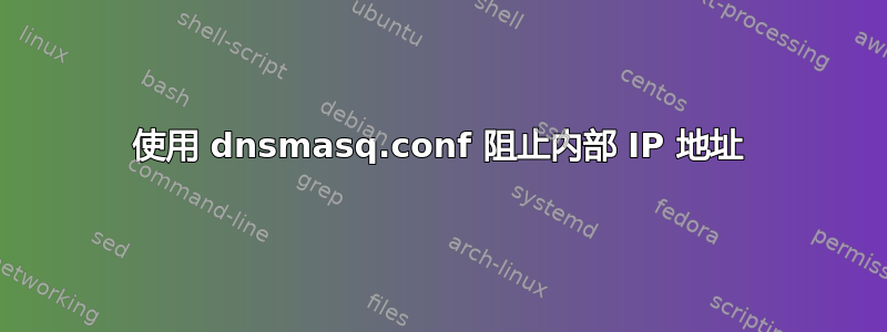 使用 dnsmasq.conf 阻止内部 IP 地址