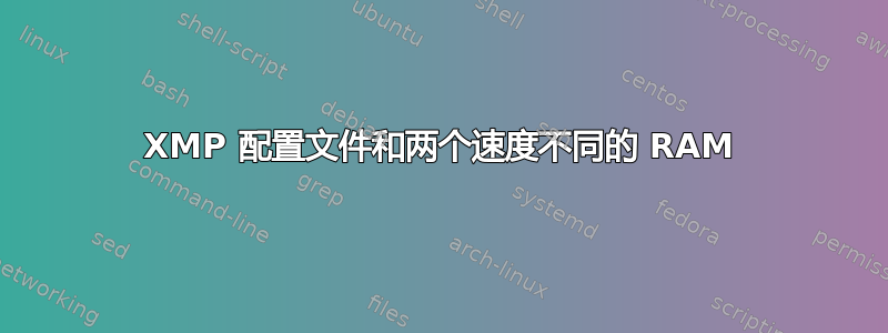 XMP 配置文件和两个速度不同的 RAM