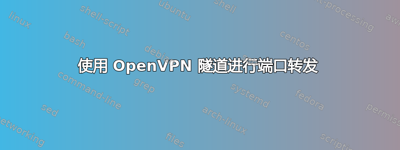 使用 OpenVPN 隧道进行端口转发