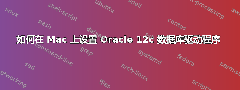 如何在 Mac 上设置 Oracle 12c 数据库驱动程序