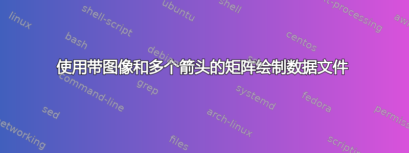 使用带图像和多个箭头的矩阵绘制数据文件