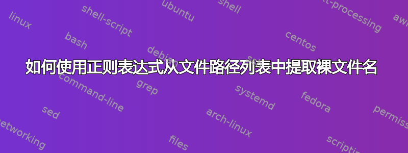 如何使用正则表达式从文件路径列表中提取裸文件名