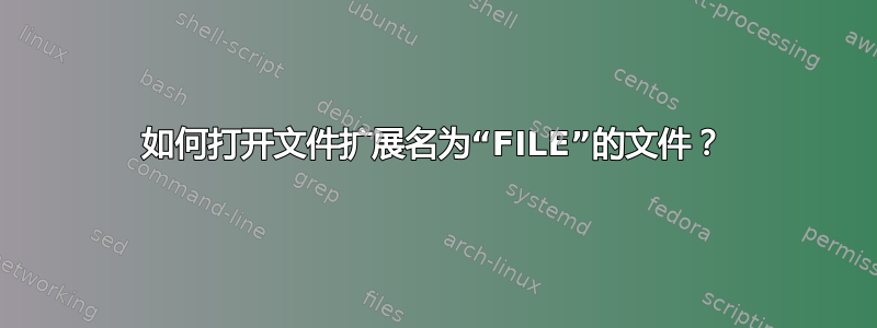 如何打开文件扩展名为“FILE”的文件？