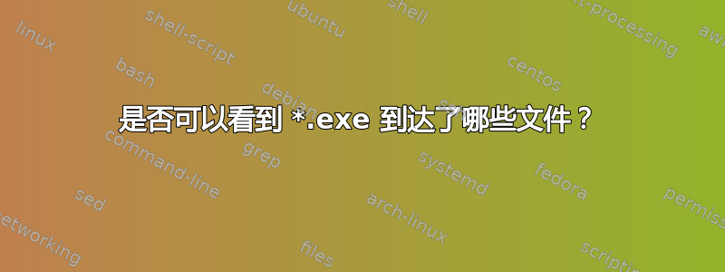 是否可以看到 *.exe 到达了哪些文件？