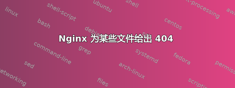 Nginx 为某些文件给出 404