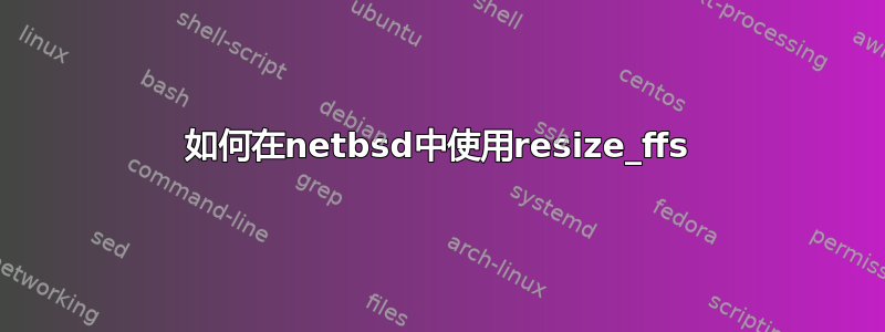 如何在netbsd中使用resize_ffs