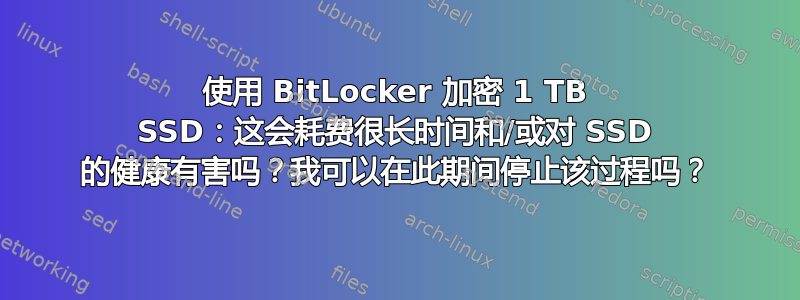 使用 BitLocker 加密 1 TB SSD：这会耗费很长时间和/或对 SSD 的健康有害吗？我可以在此期间停止该过程吗？