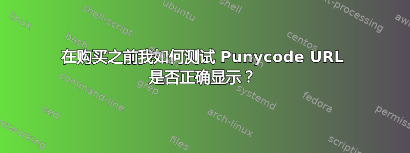 在购买之前我如何测试 Punycode URL 是否正确显示？