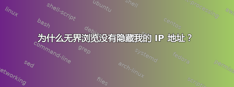 为什么无界浏览没有隐藏我的 IP 地址？