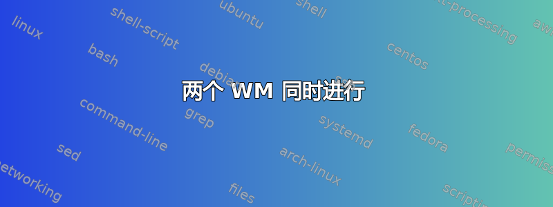 两个 WM 同时进行