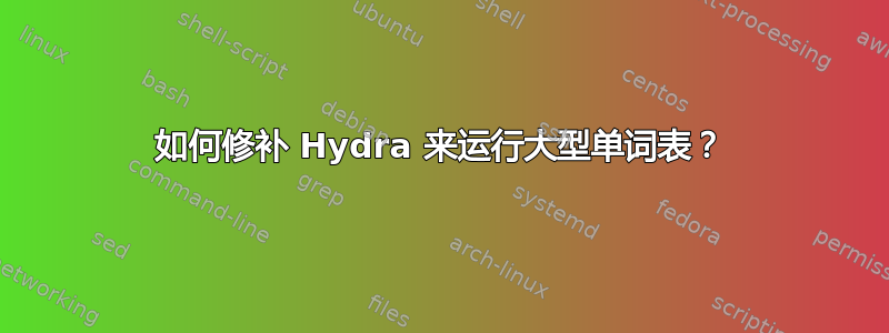 如何修补 Hydra 来运行大型单词表？