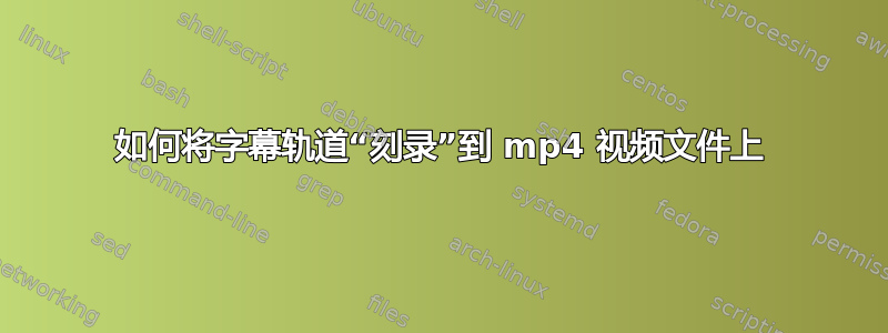 如何将字幕轨道“刻录”到 mp4 视频文件上