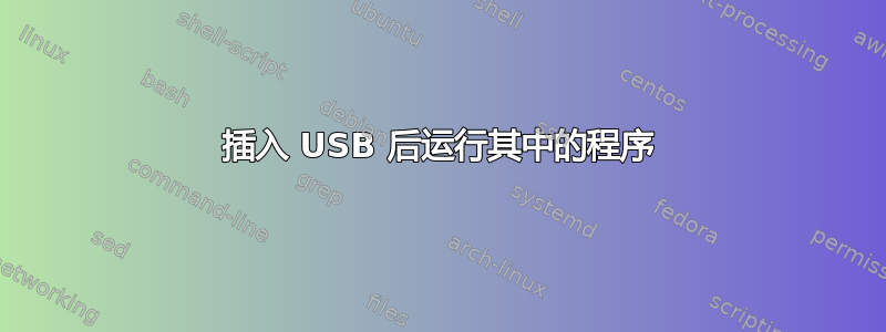 插入 USB 后运行其中的程序