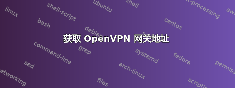 获取 OpenVPN 网关地址