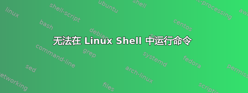 无法在 Linux Shell 中运行命令