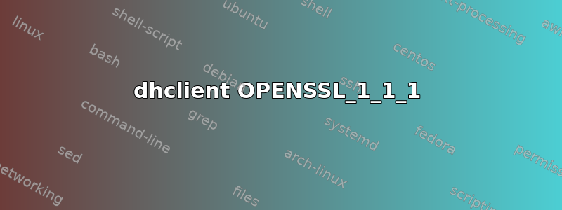 dhclient OPENSSL_1_1_1