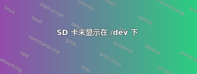 SD 卡未显示在 /dev 下