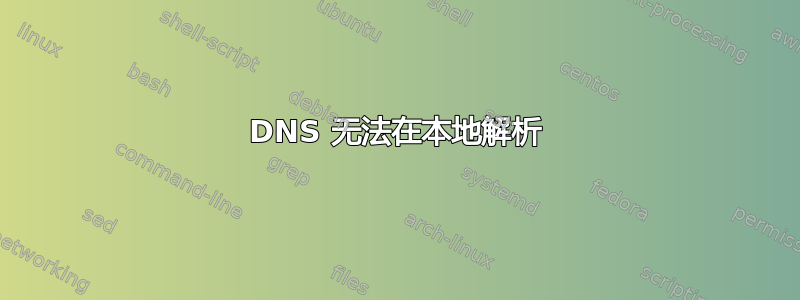 DNS 无法在本地解析