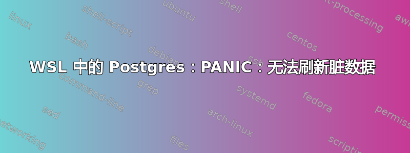 WSL 中的 Postgres：PANIC：无法刷新脏数据