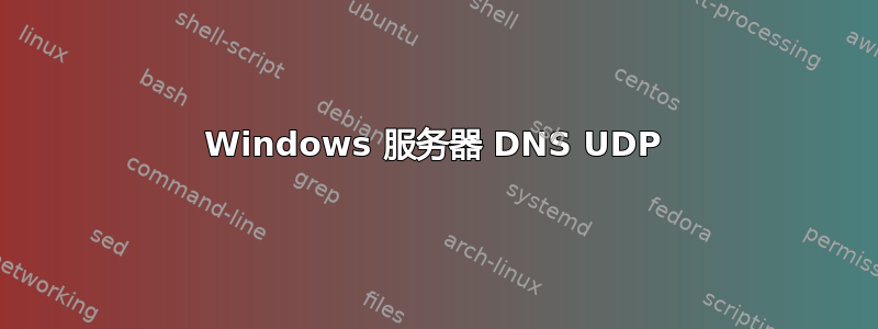 Windows 服务器 DNS UDP