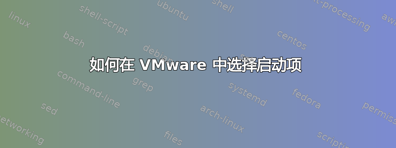 如何在 VMware 中选择启动项