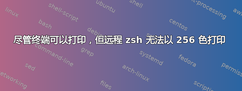 尽管终端可以打印，但远程 zsh 无法以 256 色打印