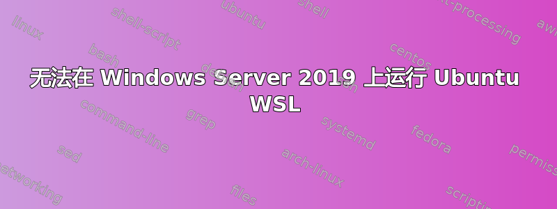 无法在 Windows Server 2019 上运行 Ubuntu WSL