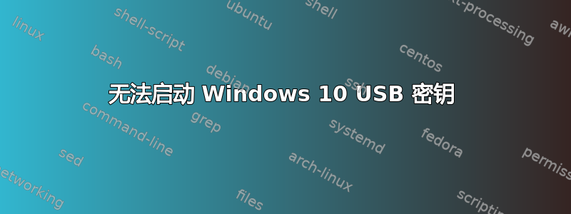 无法启动 Windows 10 USB 密钥