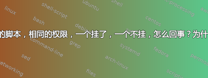 相同的脚本，相同的权限，一个挂了，一个不挂，怎么回事？为什么？