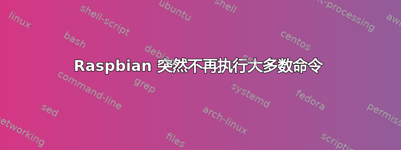 Raspbian 突然不再执行大多数命令