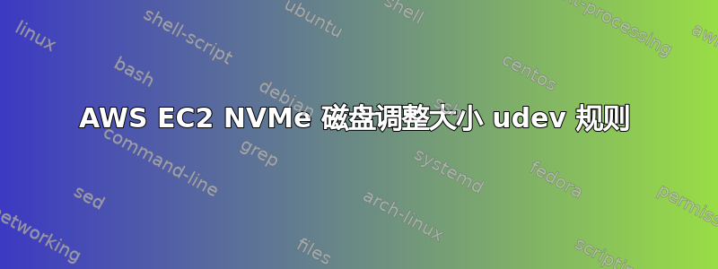 AWS EC2 NVMe 磁盘调整大小 udev 规则