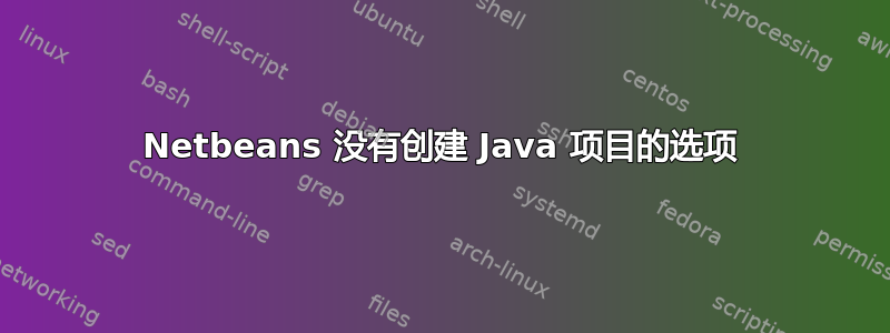 Netbeans 没有创建 Java 项目的选项